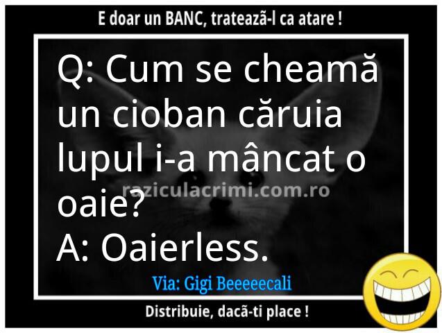 44698_527604717279742_1570850384_n