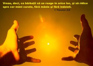 lumina si intuneric 3