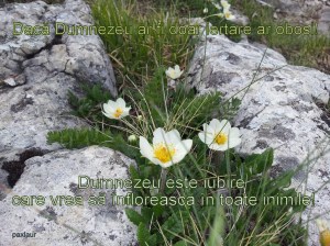 Dumnezeu este iubire