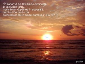 rasaritul vietii mele