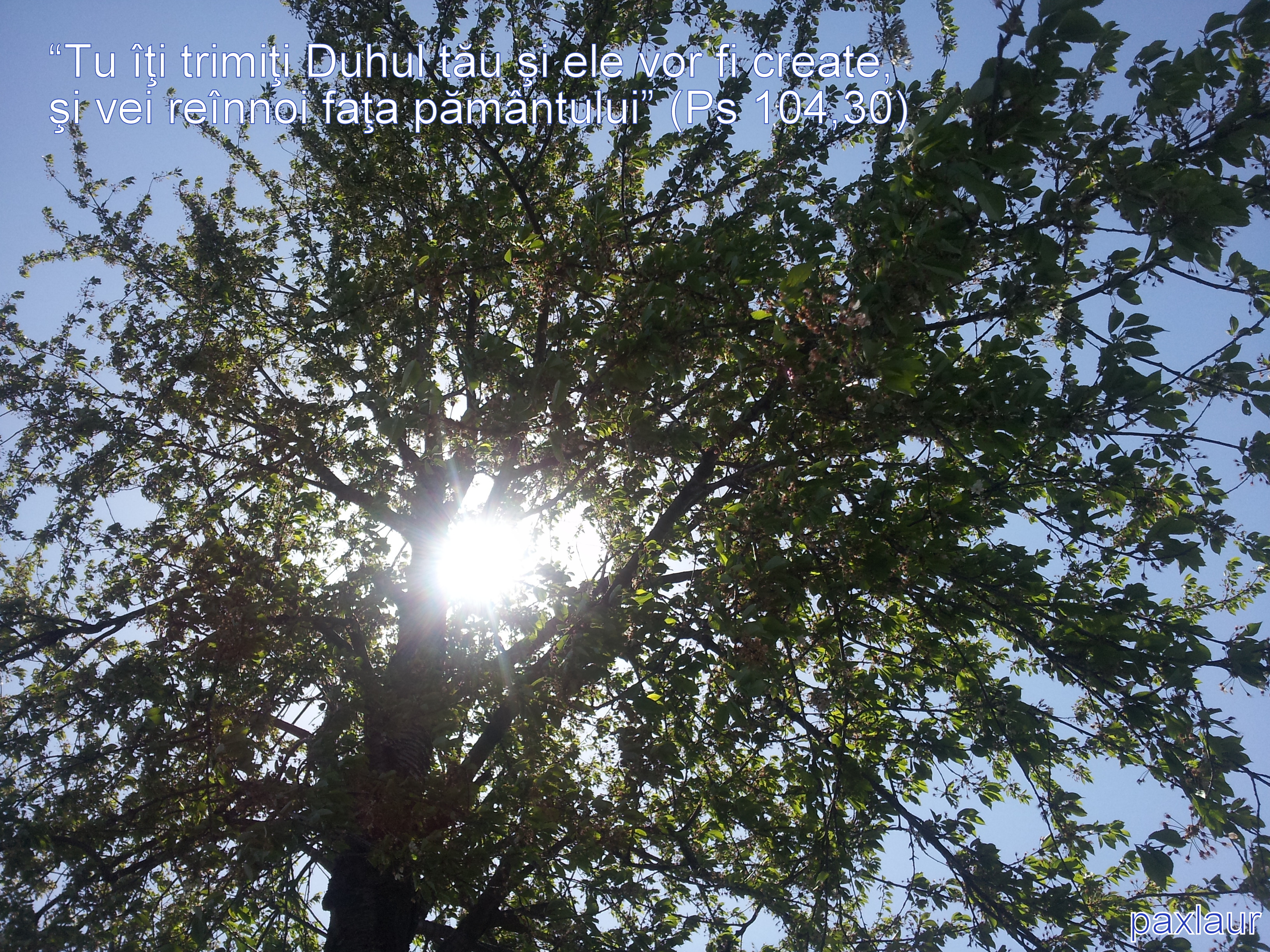 Veni Creator Spiritus