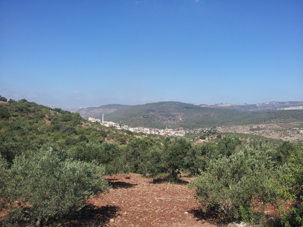 Peisajul ce ne delecta in asteptarea microbuzelor