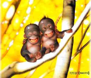 Maimutele zambitoare!