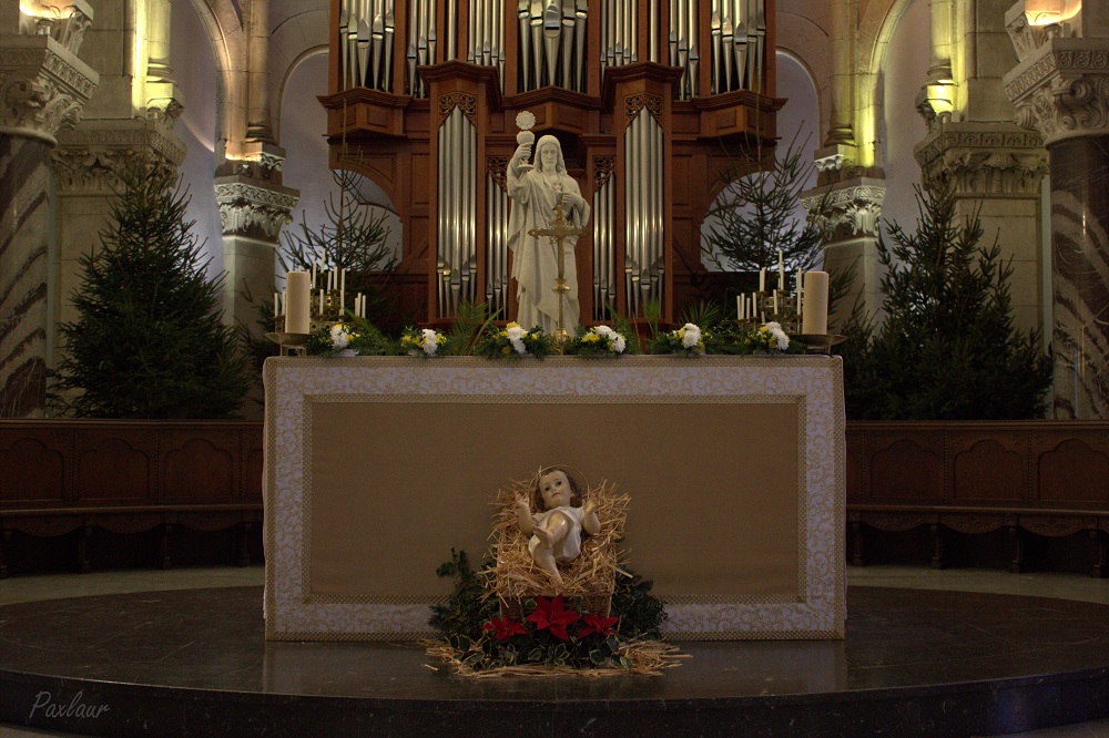 7_Biserica Parohiala Preasfanta Inima_Lourdes