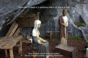 Impreună cu Maria și Iosif așteptăm venirea Domnului