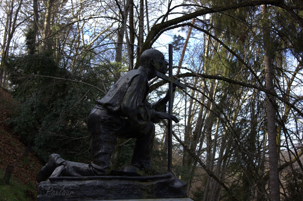 lourdes_pelerinul convertit