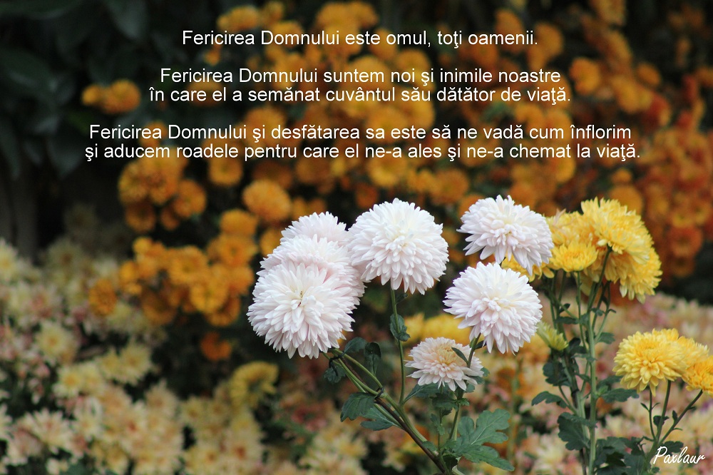 Fericirea Domnului