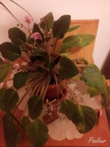 Povestea de dragoste