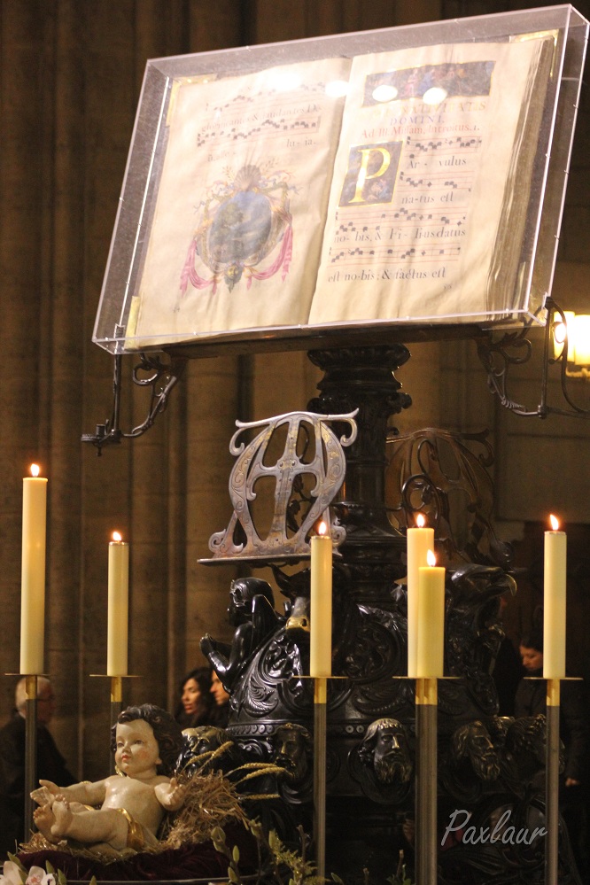 Pruncul si Evanghelia in catedrala Notre Dame Paris
