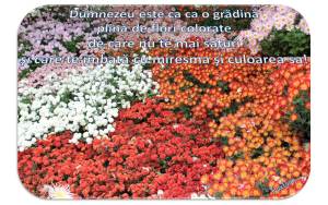 Dumnezeu este ca o gradina plina de culoare