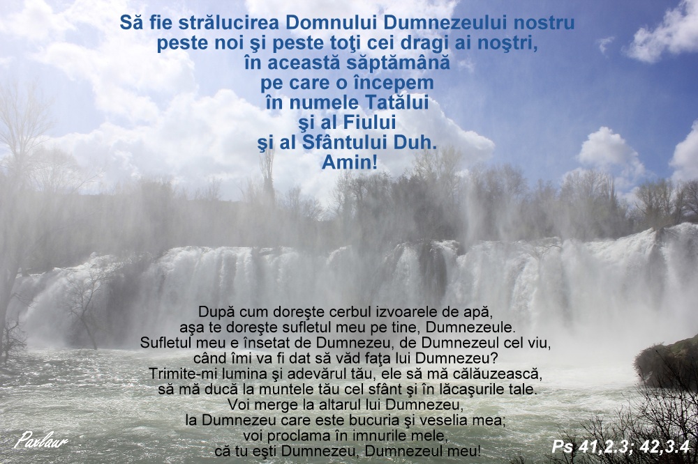 Cum doreste cerbul izvoarele de apa