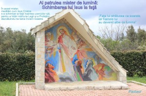 IV_Schimbarea la fata