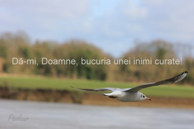 Bucuria unei inimi curate