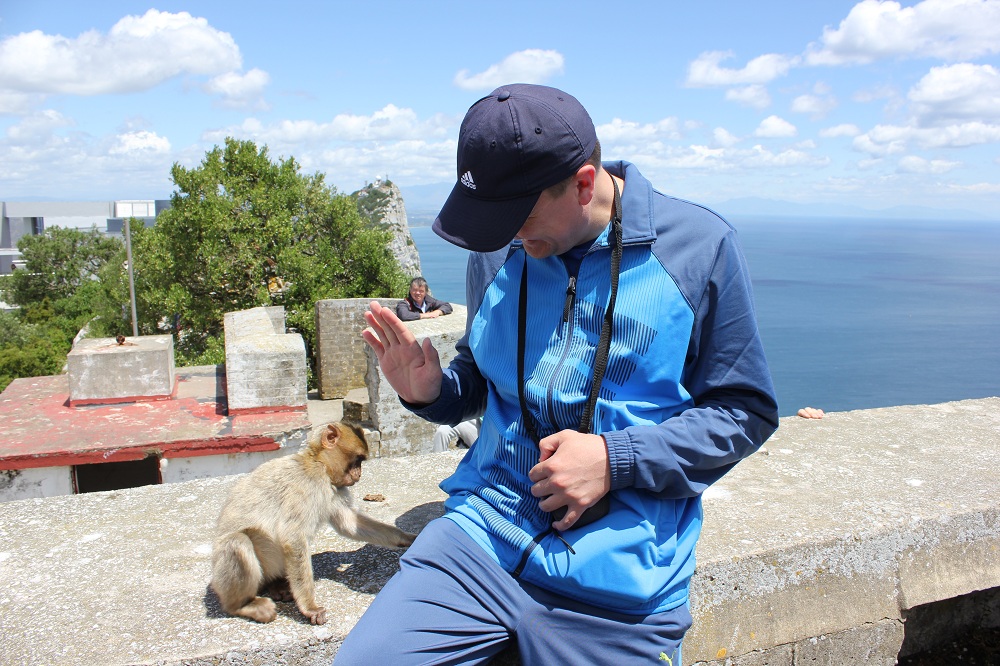 Maimuta_Gibraltar_2