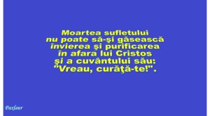 11 ianuarie 2014 moartea sufletului si invierea