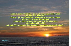 17 ianuarie 2014 lista prioritatilor