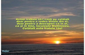 22 ianuarie 2014 fratele tau aproapele