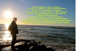 28 ianuarie 2014 impartasirea bunurilor