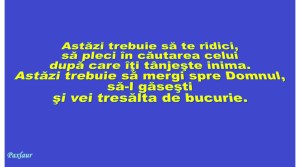 6 ianuarie 2014 cautarea Domnului