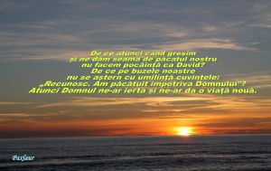 1 februarie constiinta si pocainta