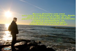 7 februarie 2014 alegerea