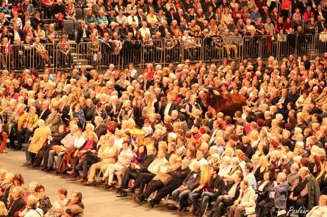 Andre Rieu_Love in Venice_Koln_2015_Paxlaur_1287