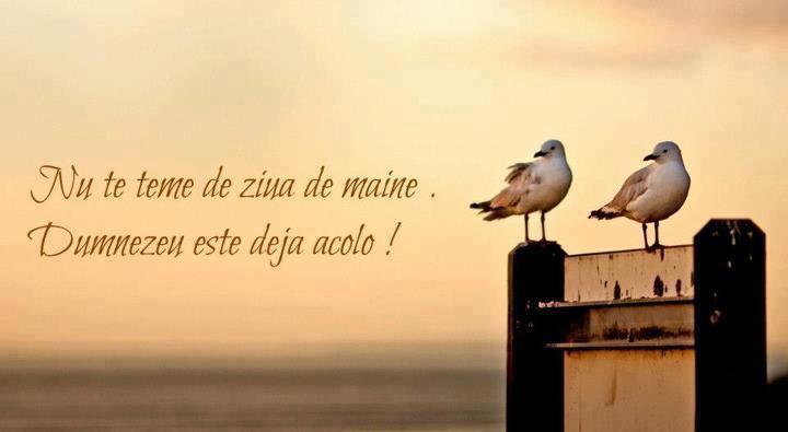 Providenta_ziua de maine_Dumnezeu