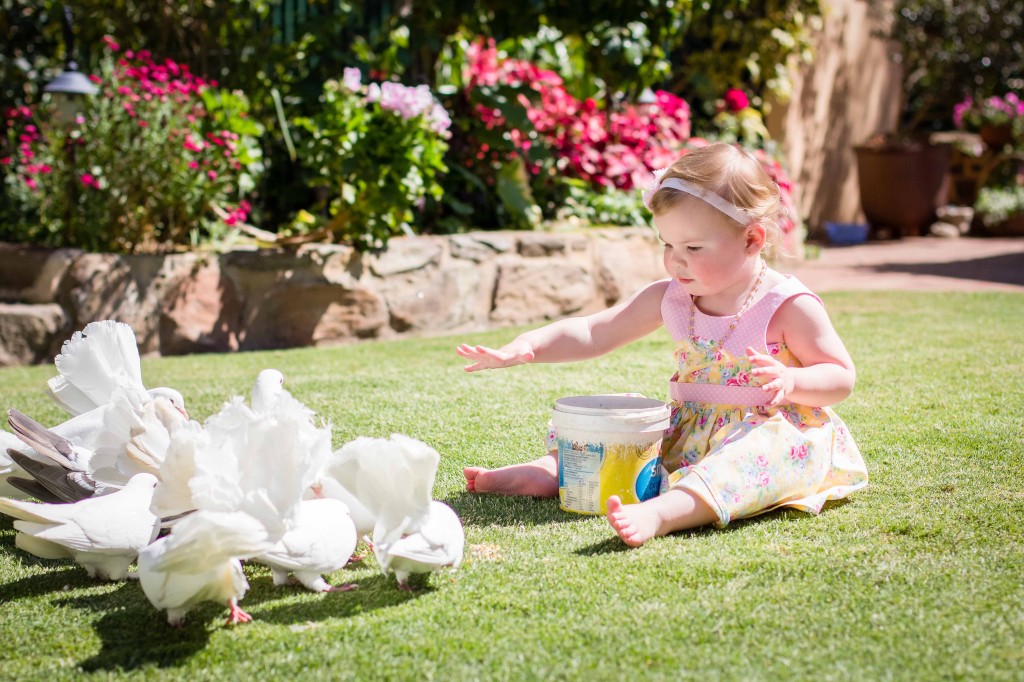 Puritatea copiilor si simplitatea porumbeilor