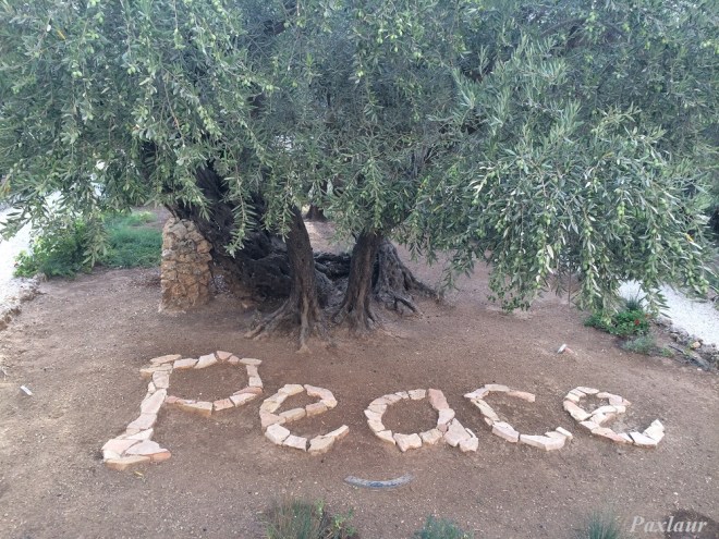 Gradina Maslinilor_pace