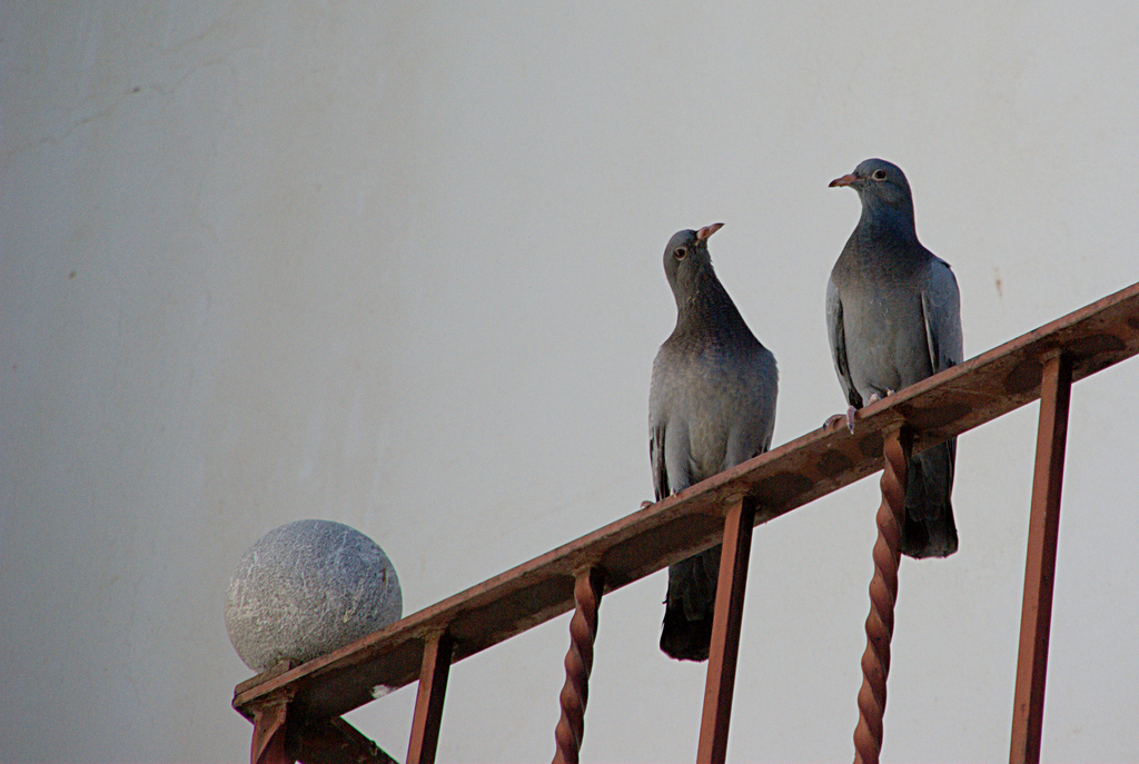 Fidelity-and-Monogamy