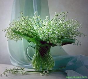 O primavara inspirata