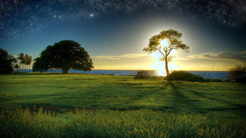 lumina-si-intelepciunea