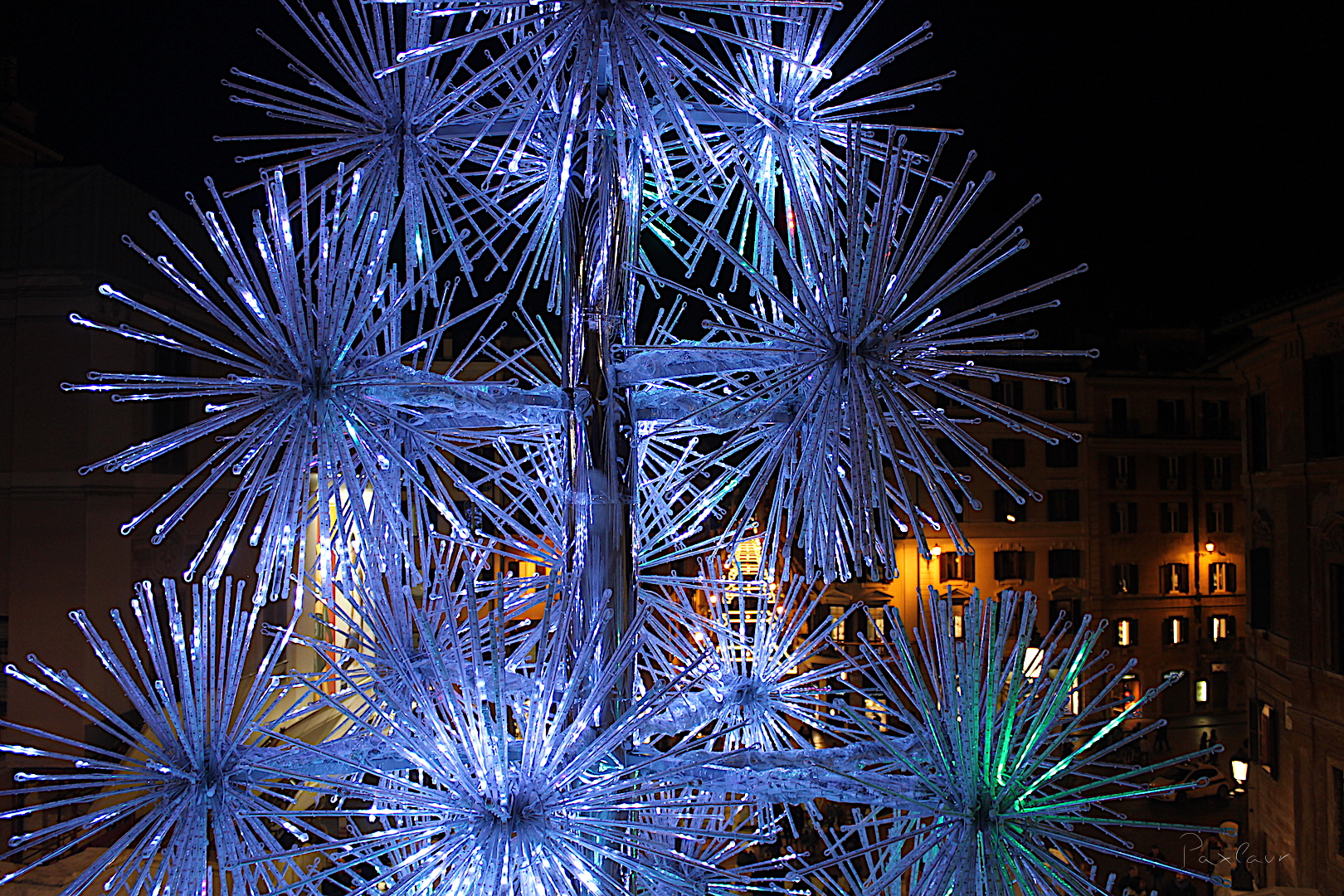 roma-in-culorile-noptii_paxlaur_15