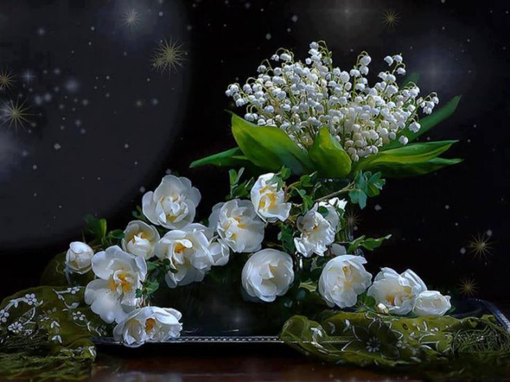 lacramioare lacrimioare