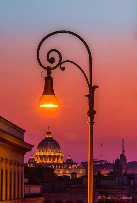 roma san pietro
