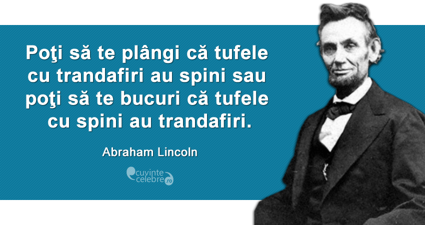 trandafiri spini persecutie bucurie