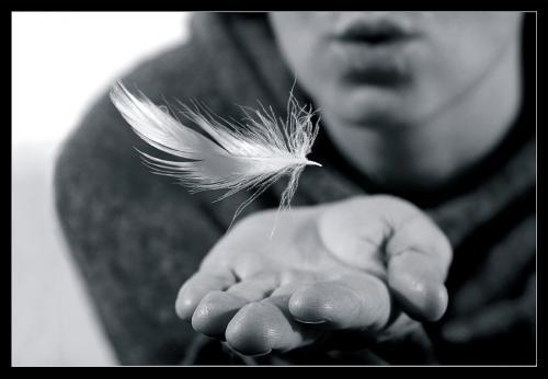 5-c9c45e24ce9acdf4ced5680b30bef16b