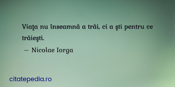 viata motivatie iorga
