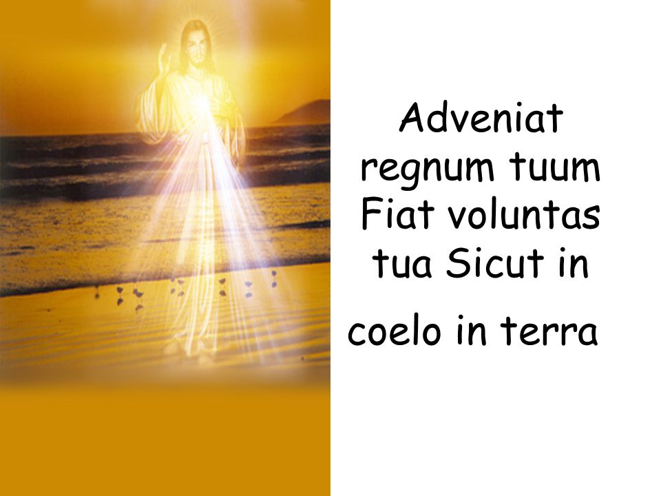 Adveniat regnum tuum Fiat voluntas tua Sicut in coelo in terra