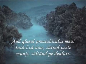 cantarea cantarilor iubirea