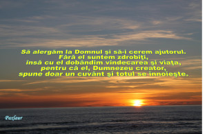 16 ianuarie 2014 Dumnezeu vindeca salveaza