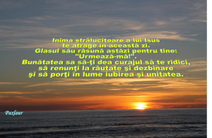 18 ianuarie 2014 urmeaza_ma