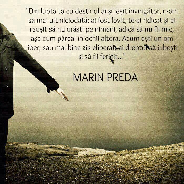 marin preda ura libertate maretie judecata critica