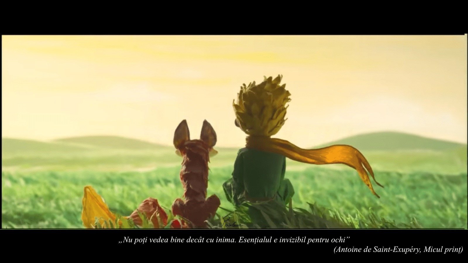 Micul print esentialul inima