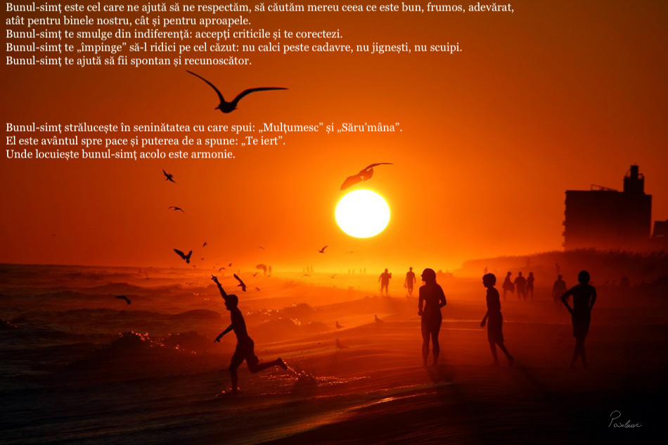 frumusetea lumii si bunul simt