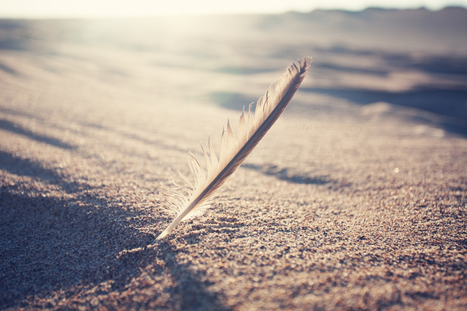 providenta scris nisip