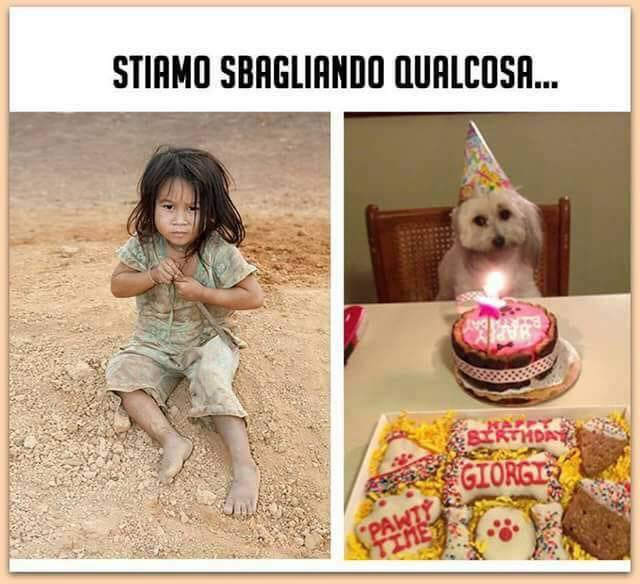 cainii si copiii ceva undeva e gresit