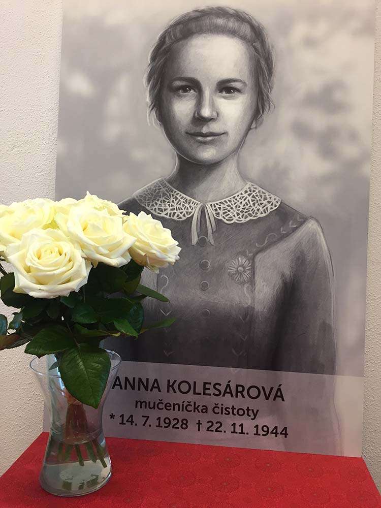 fericita anna kolesarova