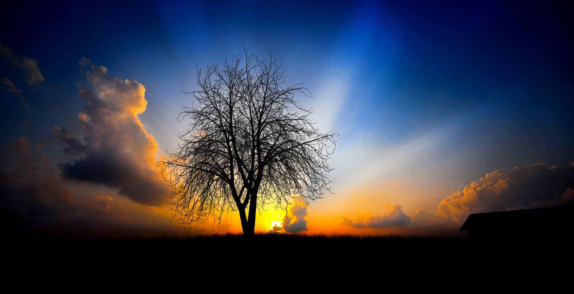 Dumnezeu este lumina