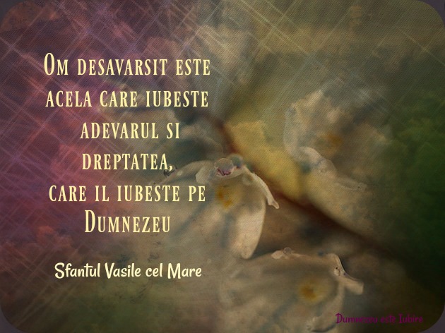 pace adevar dreptate vasile-cel-mare